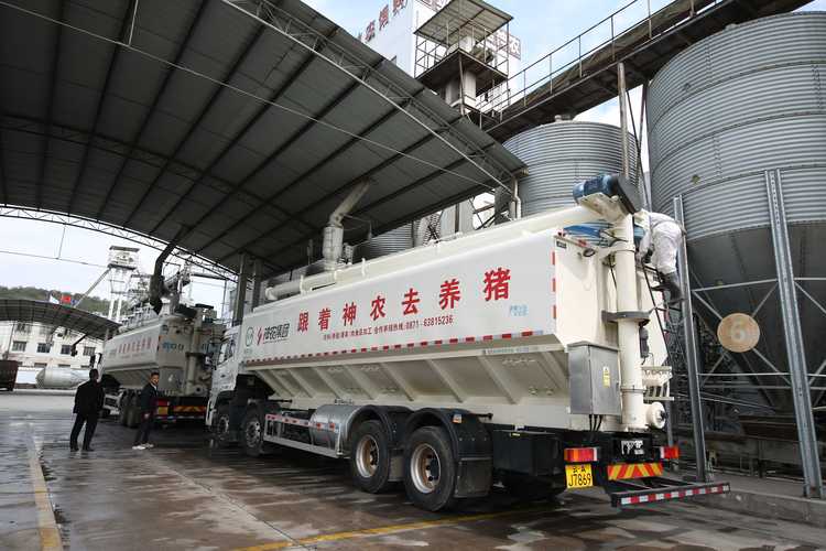 神农东方红系列浓缩饲料 科技赋能养殖，匠心守护品质